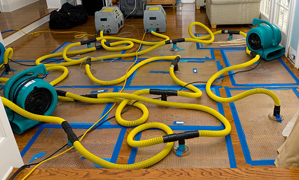Professional Water Damage Restoration technician working in Furlong, PA